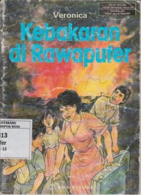 Image of Kebakaran di Rawaputer